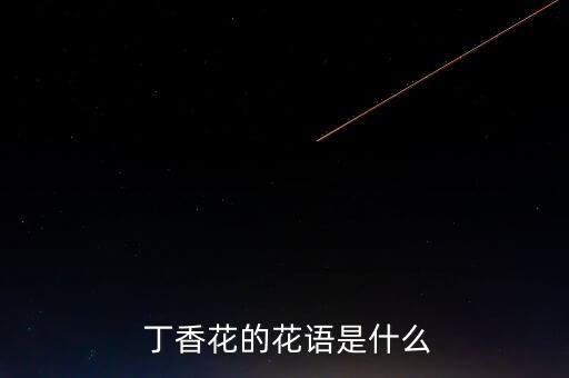 丁香花又开舞蹈,香港天之花丁香花花语:灿烂辉煌