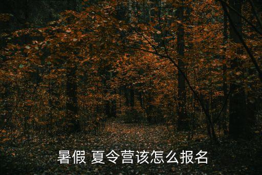 暑假大学生舞蹈夏令营,夏令营有何好处?