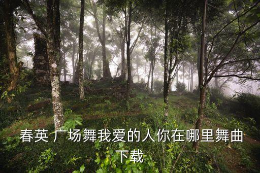  春英 广场舞我爱的人你在哪里舞曲下载
