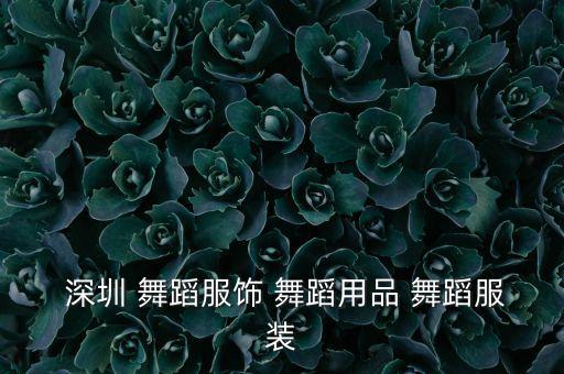  深圳 舞蹈服饰 舞蹈用品 舞蹈服装