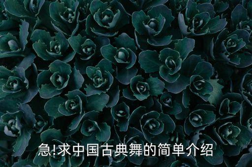 急!求中国古典舞的简单介绍