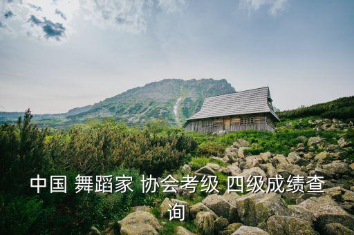 中国 舞蹈家 协会考级 四级成绩查询