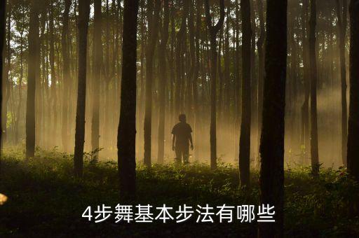 4步舞基本步法有哪些