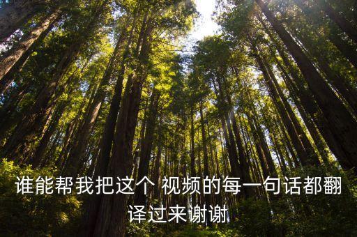 谁能帮我把这个 视频的每一句话都翻译过来谢谢