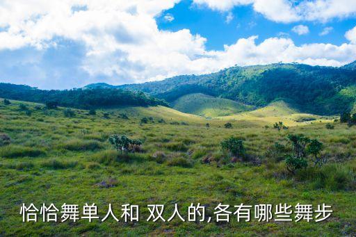 双人左手右手舞蹈视频教学视频教学,手势舞基本动作有哪些?