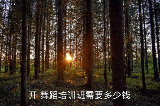 开 舞蹈培训班需要多少钱