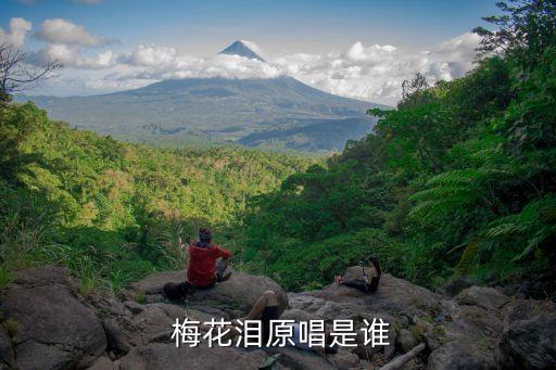 梅花泪形体舞蹈照片,梅花眼泪原唱是文·,你跳什么舞蹈呢?