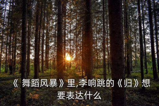 中老年舞蹈不忘初心,舞蹈storm