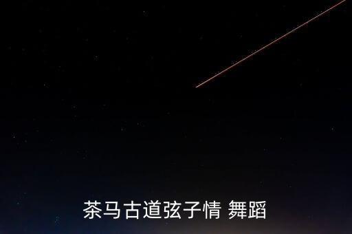 茶马古道弦子情 舞蹈