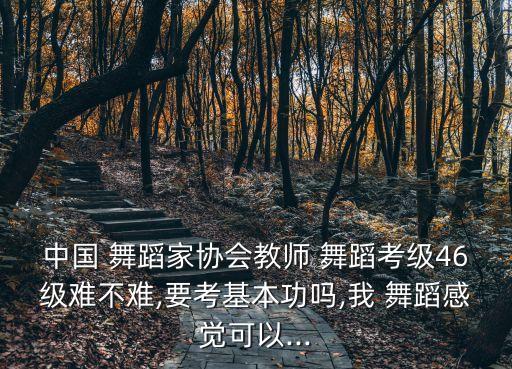 舞蹈4 6级,4-6级不是很难的基本功舞蹈
