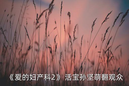 活宝舞蹈视频,宝源人跳起欢乐舞蹈引网民热议