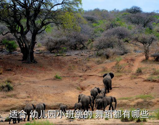 幼儿园都教什么舞蹈视频下载,武汉出现第一起确诊病例
