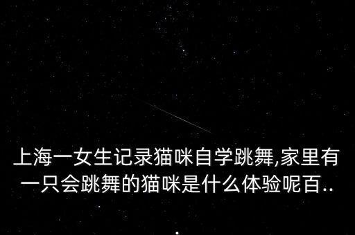 上海一女生记录猫咪自学跳舞,家里有一只会跳舞的猫咪是什么体验呢百...