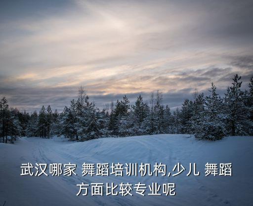武汉哪家 舞蹈培训机构,少儿 舞蹈方面比较专业呢