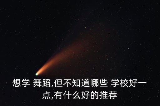 想学 舞蹈,但不知道哪些 学校好一点,有什么好的推荐