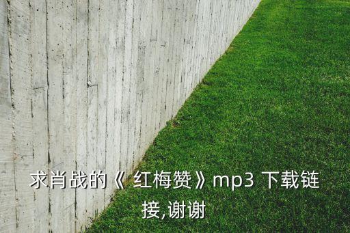 求肖战的《 红梅赞》mp3 下载链接,谢谢