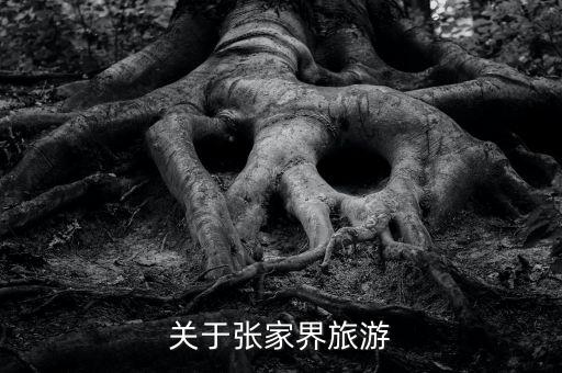 关于张家界旅游