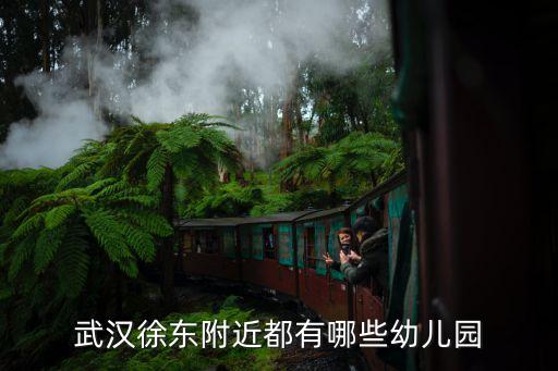 武汉徐东附近都有哪些幼儿园