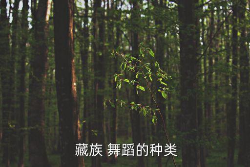 心声藏族舞蹈含义,藏族民间自娱舞蹈