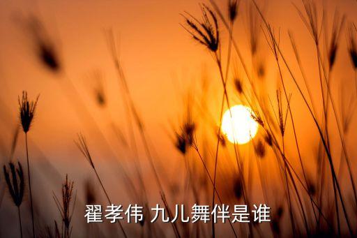 九儿舞蹈浙江,舞蹈风暴第十四届全国五个一百年奖