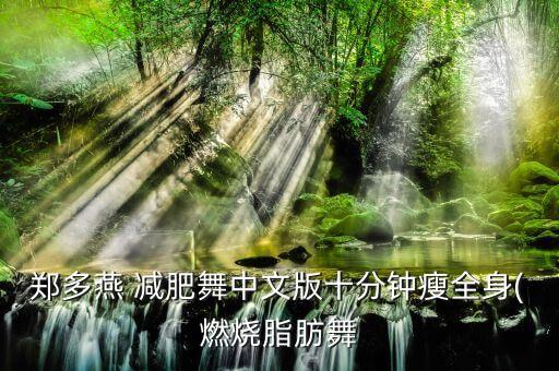 郑多燕 减肥舞中文版十分钟瘦全身(燃烧脂肪舞