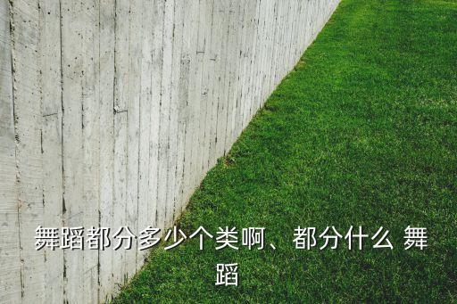舞蹈啦啦队 爵士,我国篮球啦啦队的介绍