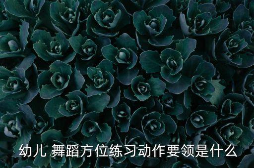  幼儿 舞蹈方位练习动作要领是什么