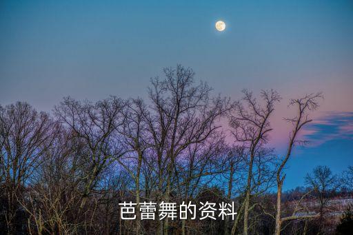  芭蕾舞的资料