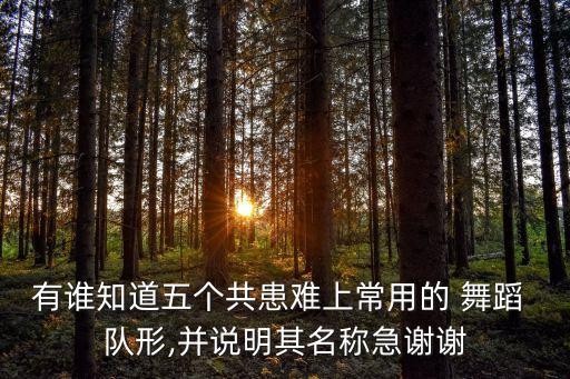 舞蹈班上课队形,舞蹈学堂（四）:舞者的心情笔记