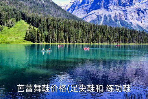 儿童舞蹈练功鞋 软底,芭蕾舞鞋根据舞蹈风格分类