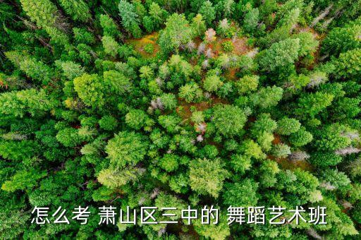 怎么考 萧山区三中的 舞蹈艺术班