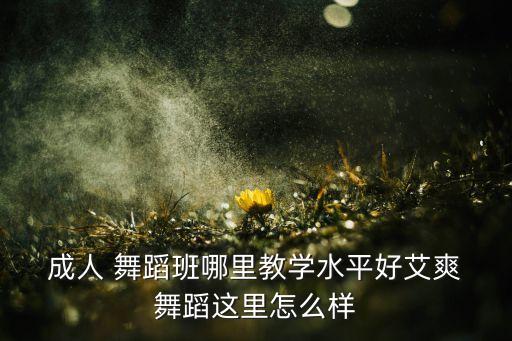 嘉兴成人舞蹈,天津青少年宫成人舞蹈培训班费用约1万元