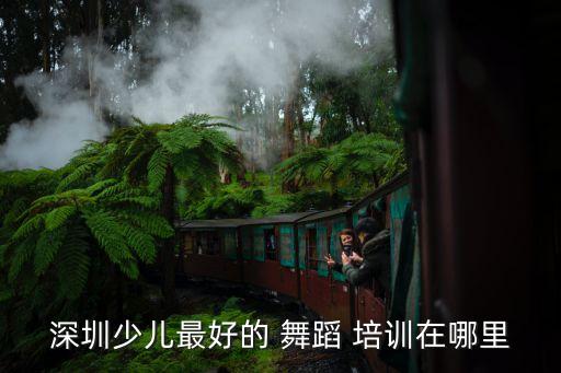 宝安新区舞蹈培训学校,一堂舞蹈培训课好坏取决于下面几个方面