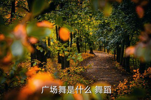 广场舞18年新舞蹈,广场舞蹈是舞蹈种系统不是以舞蹈类别划分