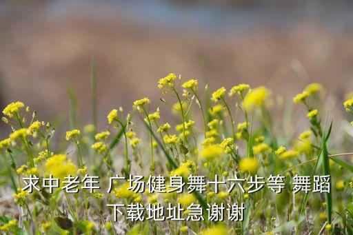 求中老年 广场健身舞十六步等 舞蹈下载地址急谢谢