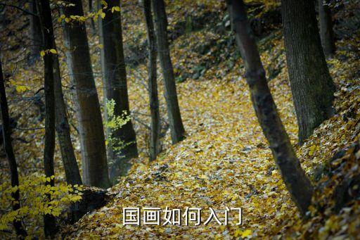 国画演唱舞蹈,从国画入门需要注意什么?