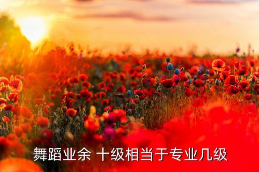  舞蹈业余 十级相当于专业几级