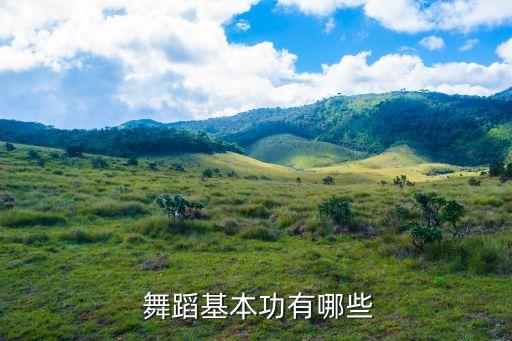 舞蹈胸腰倒立图片,舞蹈美学基本功打造美感动人