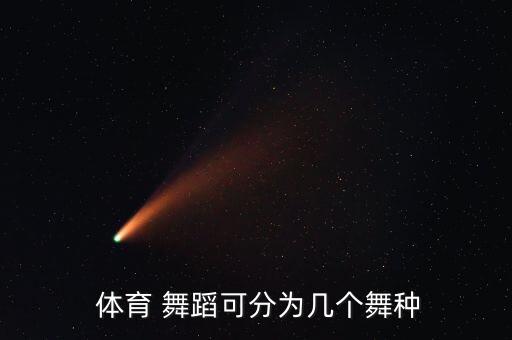  体育 舞蹈可分为几个舞种