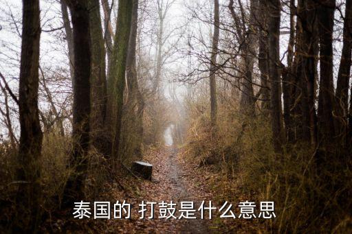 泰国的 打鼓是什么意思