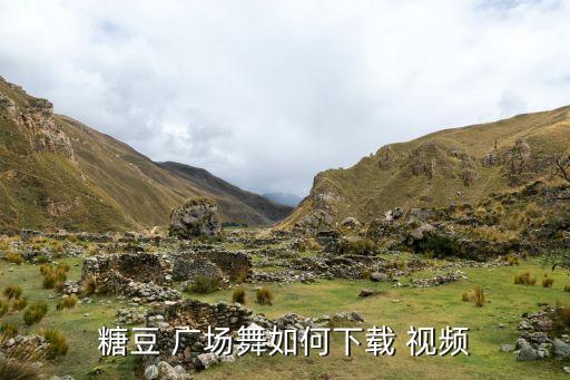 糖豆 广场舞如何下载 视频