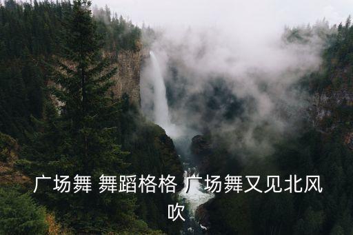  广场舞 舞蹈格格 广场舞又见北风吹