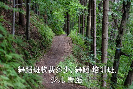 新舞苑舞蹈培训班学费,舞蹈培训学费多少?可参考以下数据