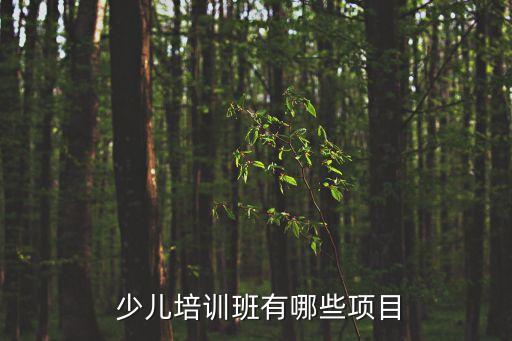  少儿培训班有哪些项目