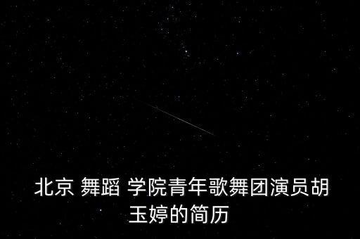  北京 舞蹈 学院青年歌舞团演员胡玉婷的简历