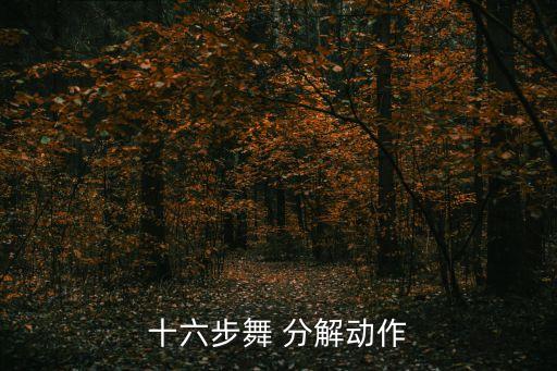 十六步舞 分解动作