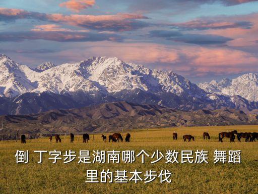 倒 丁字步是湖南哪个少数民族 舞蹈里的基本步伐