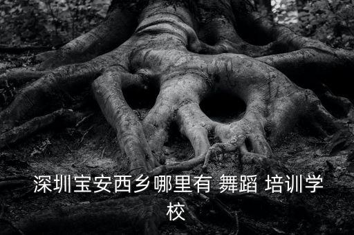 深圳舞蹈网培训基地,深圳舞蹈学院有哪些招生简介?