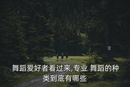 欧洲舞蹈种类,第二集:舞蹈知多少（13）
