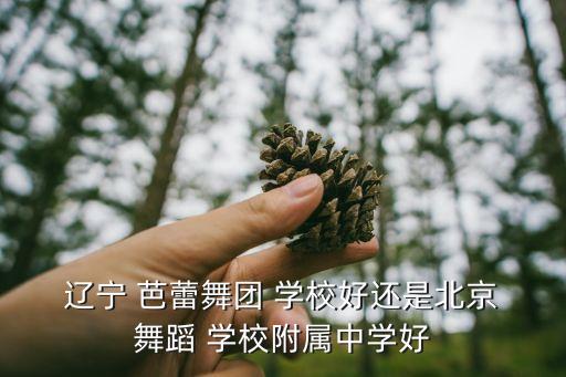 辽宁芭蕾舞团芭蕾舞蹈学校,我的观点纯属个人观点